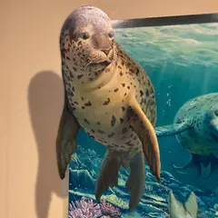 伊豆トリックアート迷宮館