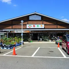夢未一 こだわりのジェラアートアイス