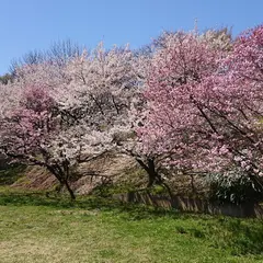 往生地公園