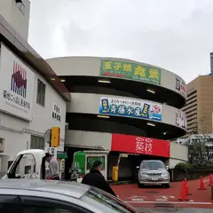 築地虎杖 魚河岸千両 （うおがしせんりょう）