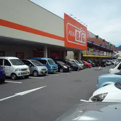 ザ・ビッグ 上田中央店