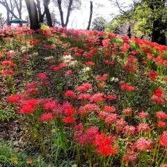 離山公園