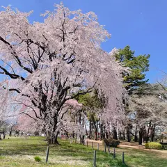 敷島公園