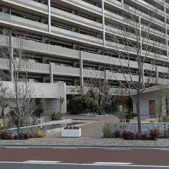 プレミスト湘南辻堂Forest Face