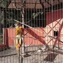 ふれあい動物園
