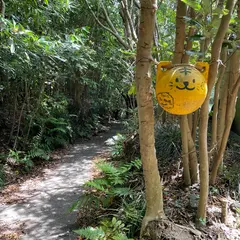 海岸遊歩道