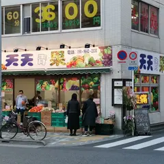 天天青果