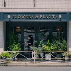 DENDA Flowers & Plants