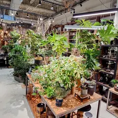 garage SHIBUYA - living with plants