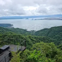Qiwellness Living