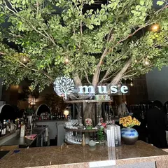 シーシャカフェ＆バー muse/ミューズ 札幌店（hookah lounge muse）