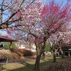 北野町