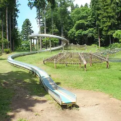 森の遊び場