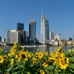 Saigon riverside park