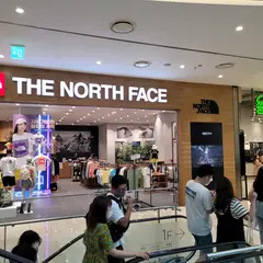 THE NORTH FACE