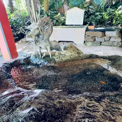 青島神社 手水舎