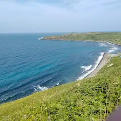 ゴロタ岬