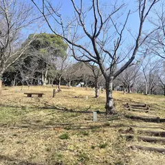 白山公園