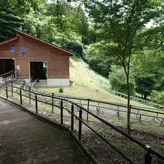 奥祖谷周遊モノレール