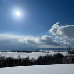 青の丘