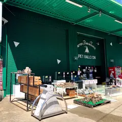 ペットバルーンサウス店