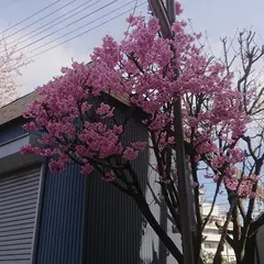 やまや新館