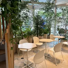 CIRTY CAFE