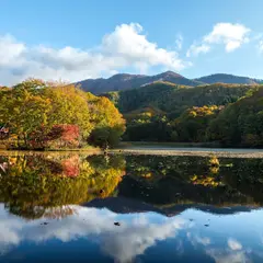 大沢沼