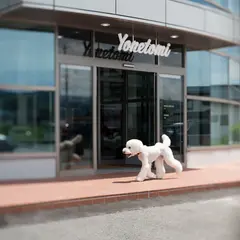Yonetomi STORE （ヨネトミストア）