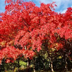 旭川ダム公園