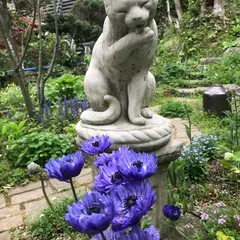 ｃａｆｅしろつめくさ