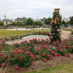 若園公園 バラ園