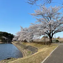 大池公園