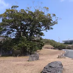 道の駅さいかい みかんドーム 大型車駐車場