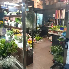 클라라꽃방