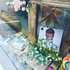BOWIE FLOWERS 보위플라워즈