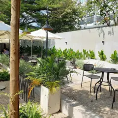 Ollin Café