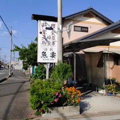 魚要