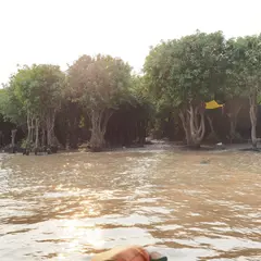 プレック・トアル