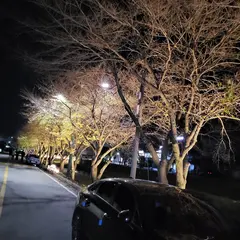 공주훼밀리랜드