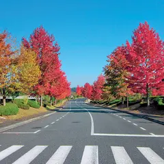 ひたち平和記念墓地公園・ひたち常楽納骨堂