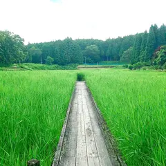 龍王ヶ淵周遊散策路