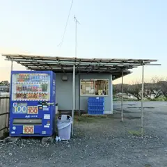 青柳市場