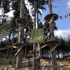58 WILD FOREST ONE