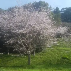冠岳花川砂防公園