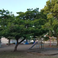 富岡第1公園