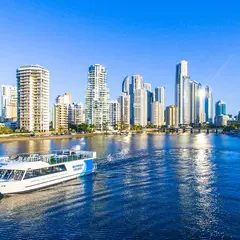 Sightseeing Lunch Cruise with Sea World Cruises