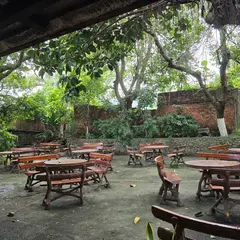 Fernando's