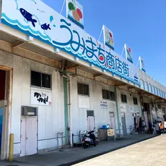 鰻のへそ