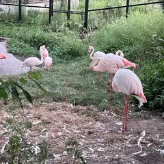 旭山動物園 西門
